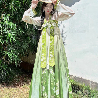 Tang Dynasty Style Elegant Hanfu Dress Set