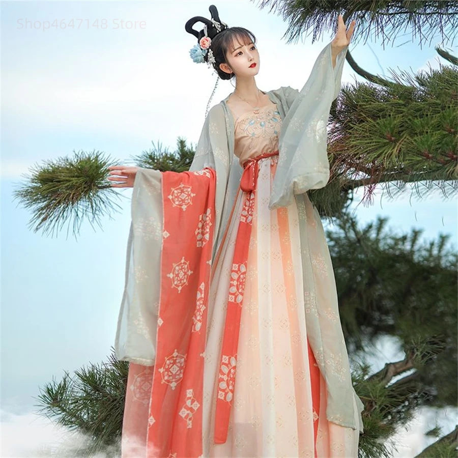 Song Dynasty Women Embroidery Hanfu Dress