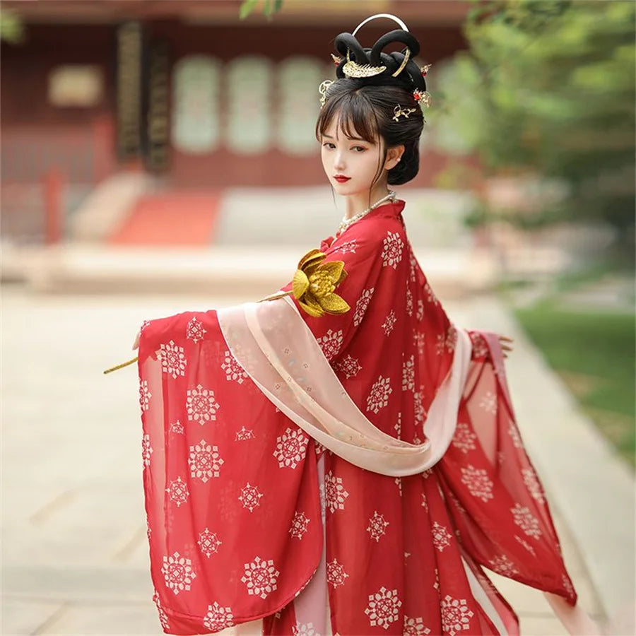 Song Dynasty Women Embroidery Hanfu Dress